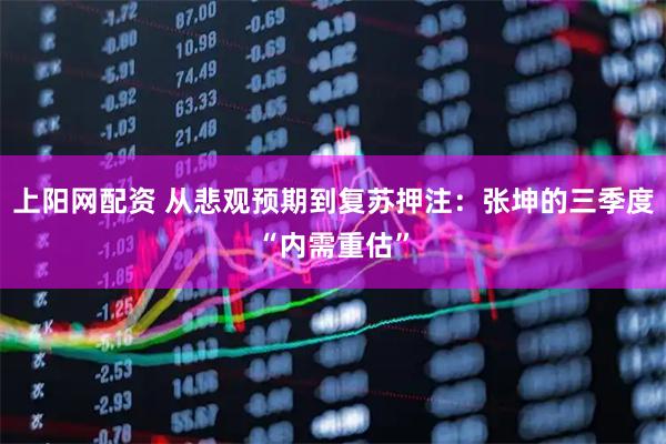 上阳网配资 从悲观预期到复苏押注：张坤的三季度“内需重估”