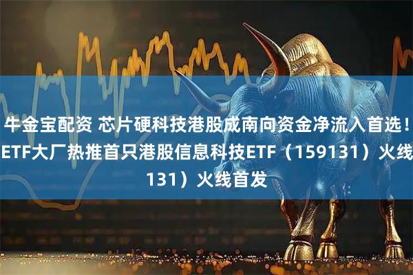 牛金宝配资 芯片硬科技港股成南向资金净流入首选！千亿ETF大厂热推首只港股信息科技ETF（159131）火线首发
