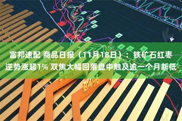 富邦速配 商品日报（11月18日）：铁矿石红枣逆势涨超1% 双焦大幅回落盘中触及逾一个月新低